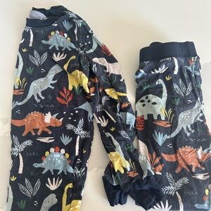 Dinosaur Print Kids Pajamas